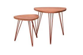 Mumbai Nest of 2 Mango Wood Copper Based Tables