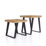 Haryana Mango Wood Nest of 2 Tables