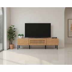 Sawyer 2 Door TV Cabinet in Oak